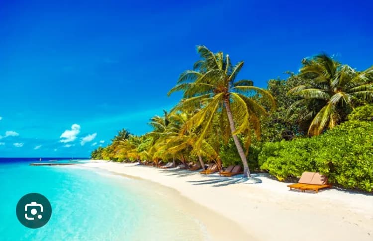 Profil de Yamin, 34 ans, Rencontre Libertine à Bournens (Vaud)