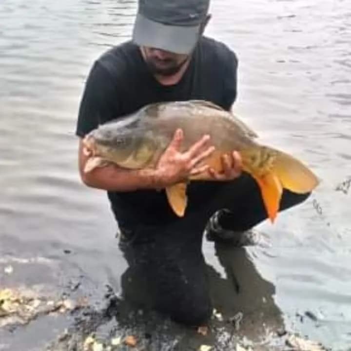 Profil de Aly, 26 ans, Rencontre Libertine à La Conversion (Vaud)