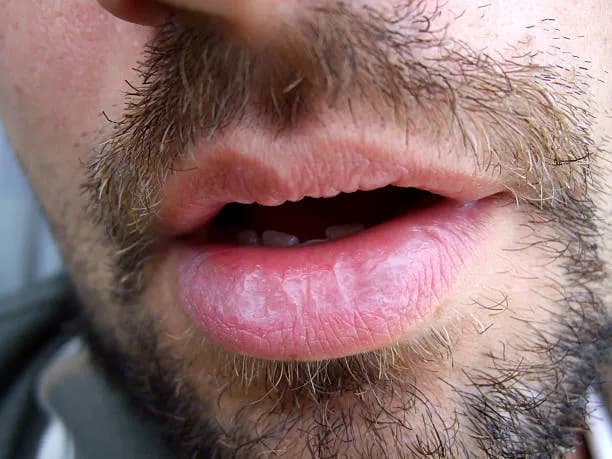 Profil de Ouways, 29 ans, Rencontre Libertine à Mesocco (Grisons)