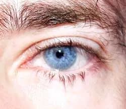 Profil de Ziyad, 29 ans, Rencontre Libertine à Luthern (Lucerne)