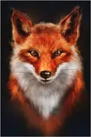 Profil de Zola, 35 ans, Rencontre Libertine à Aesch LU (Lucerne)